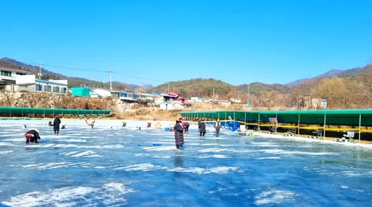 포천백운계곡 동장군축제 풍경 / 사진=포천백운계곡 동장군축제