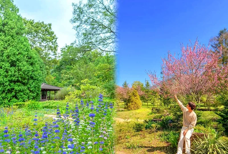 국립수목원 풍경 / 사진=온라인커뮤니티