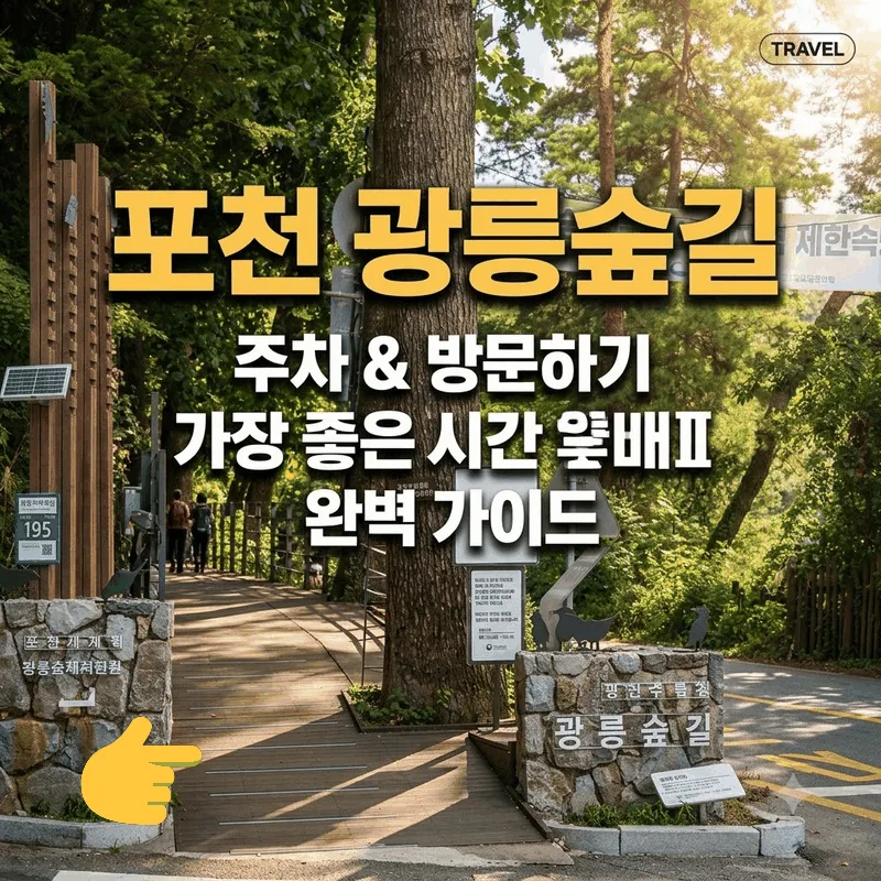 포천 광릉숲 둘레길 주차와 가기 좋은 시간 완벽 가이드