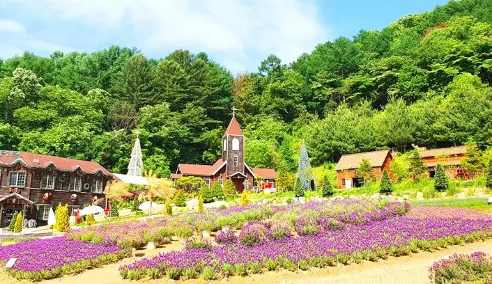 허브아일랜드 풍경 / 사진=허브아일랜드