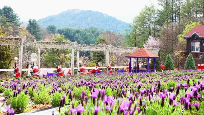 라데봄 축제 / 사진=허브아일랜드