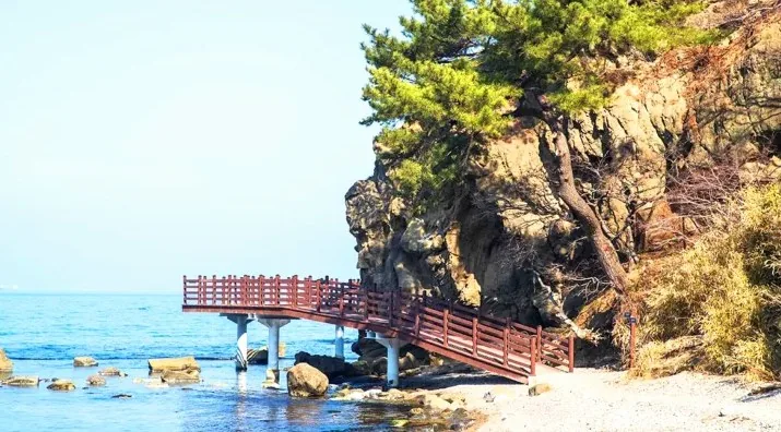 호미반도 해안둘레길 모습 / 사진=ⓒ한국관광공사 김지호
