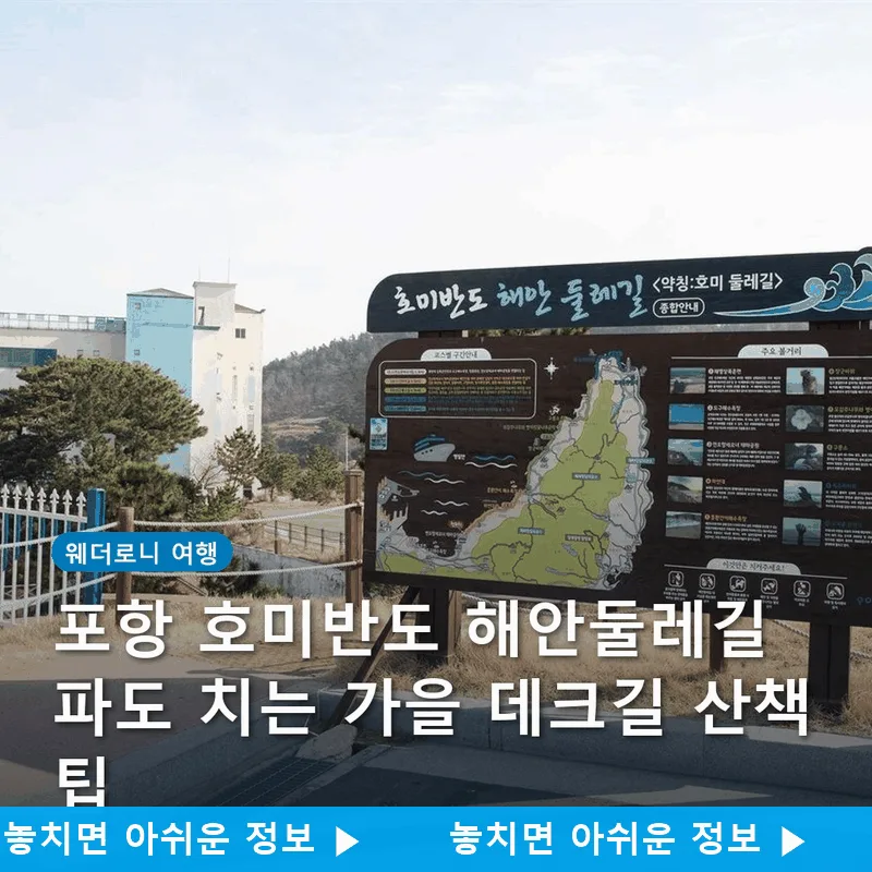 포항 호미반도 해안둘레길 파도 치는 가을 데크길 산책 팁