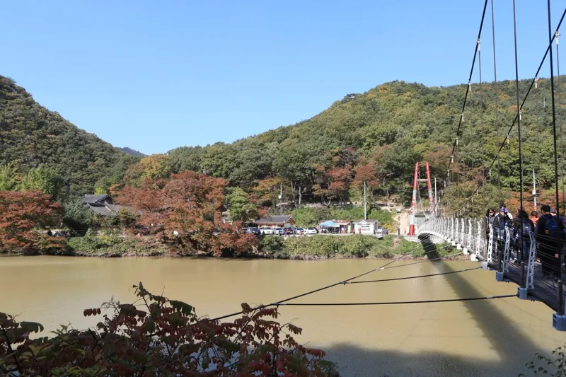 포항 오어사