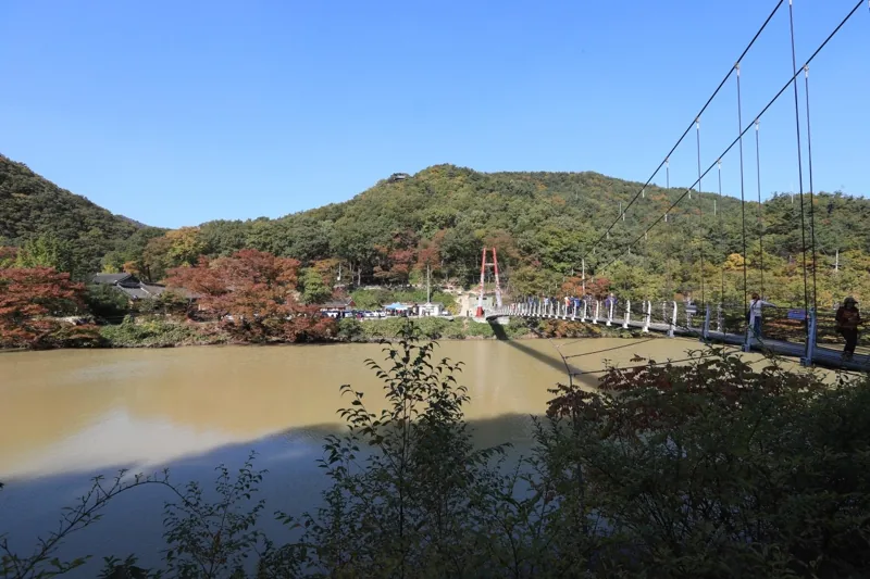 포항 오어사