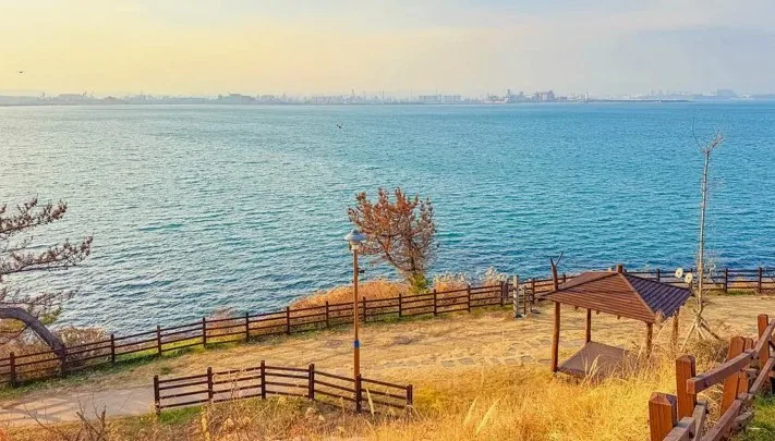 호미반도 둘레길의 일부 / 사진=포항시 공식 블로그 정유리