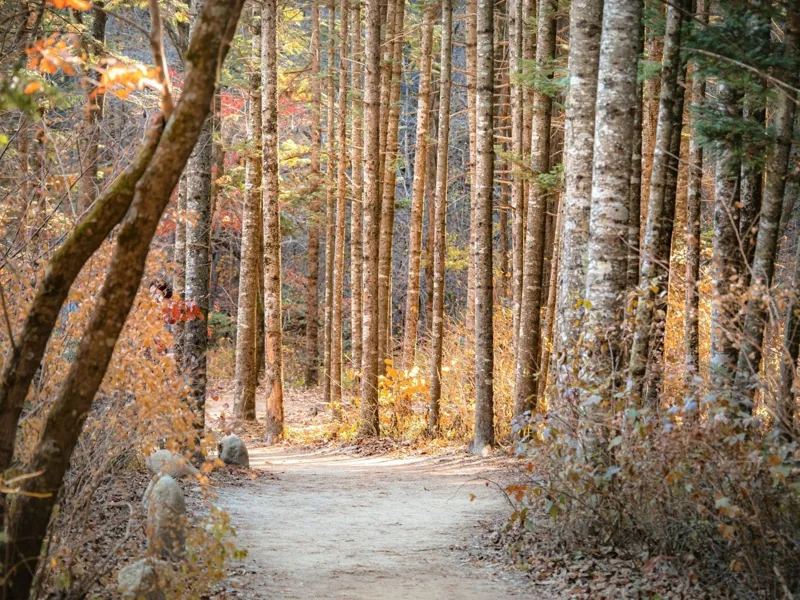 오대산국립공원