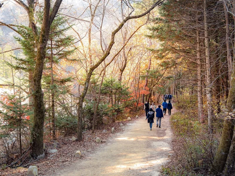 오대산국립공원
