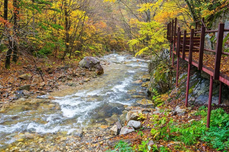 오대산국립공원