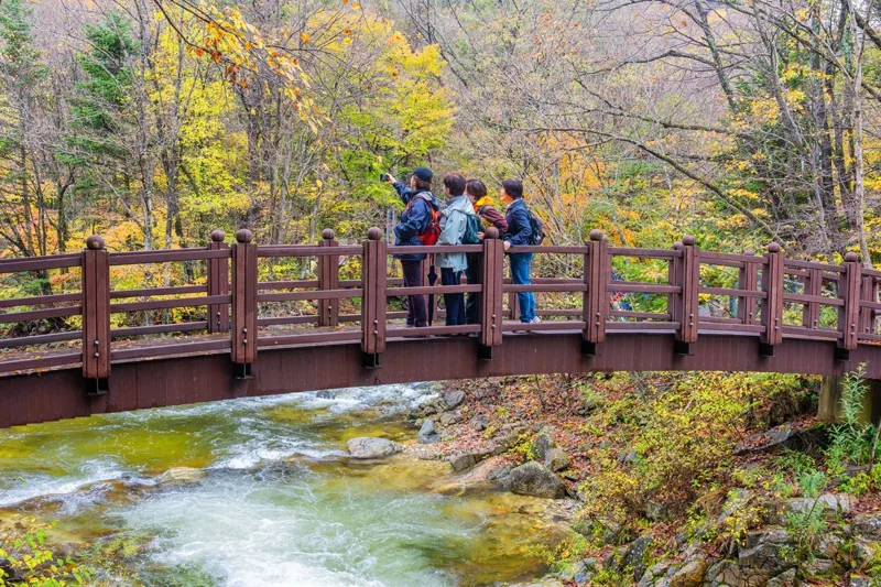 오대산국립공원