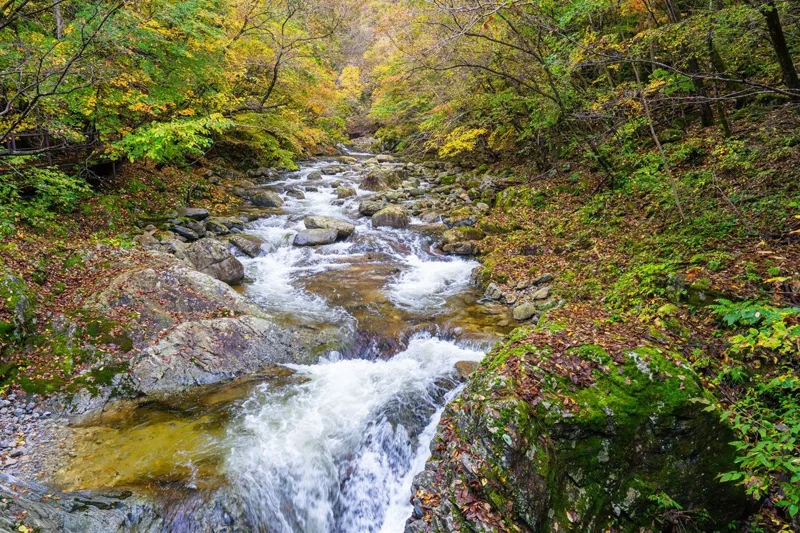 오대산국립공원