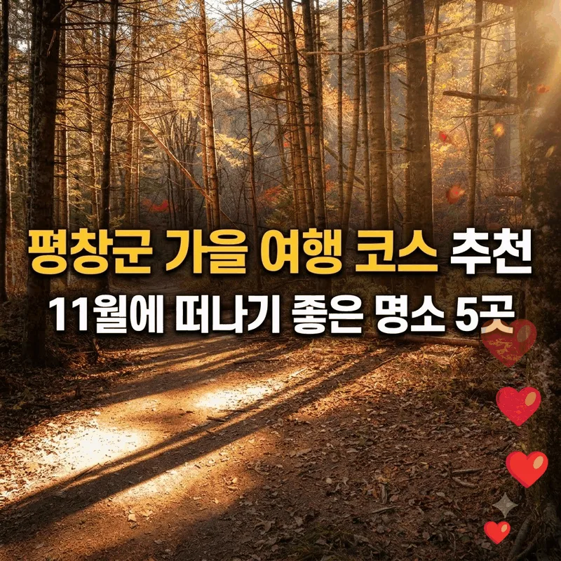 평창군 가을 여행 코스 추천, 11월에 떠나기 좋은 명소 5곳