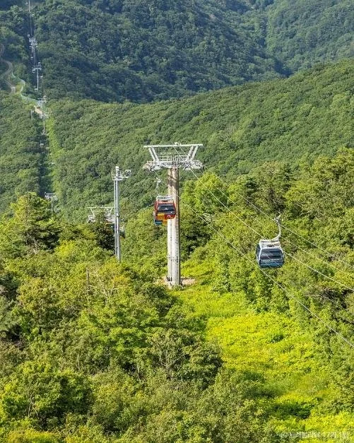 발왕산 관광케이블카
