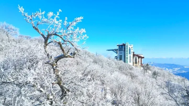 발왕산 관광케이블카 드래곤캐슬 / 사진=발왕산 관광케이블카
