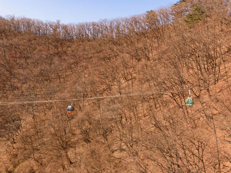 발왕산 관광케이블카