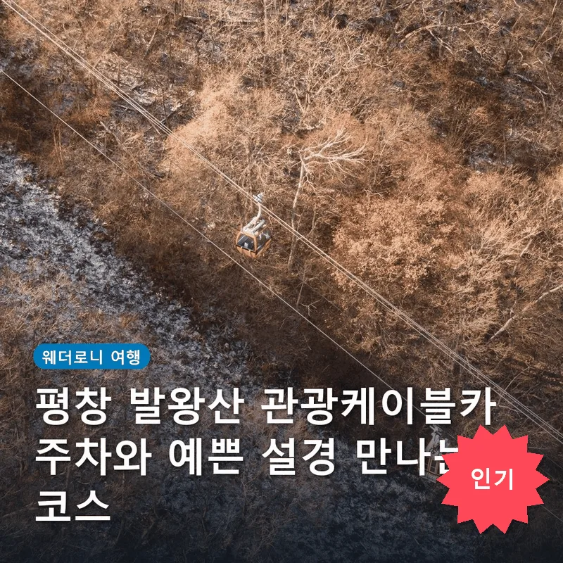 평창 발왕산 관광케이블카 주차와 예쁜 설경 만나는 코스