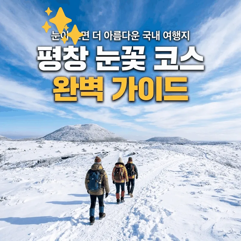 눈이 내리면 더욱 아름다운 국내 여행지 평창 설경 코스 완벽 가이드