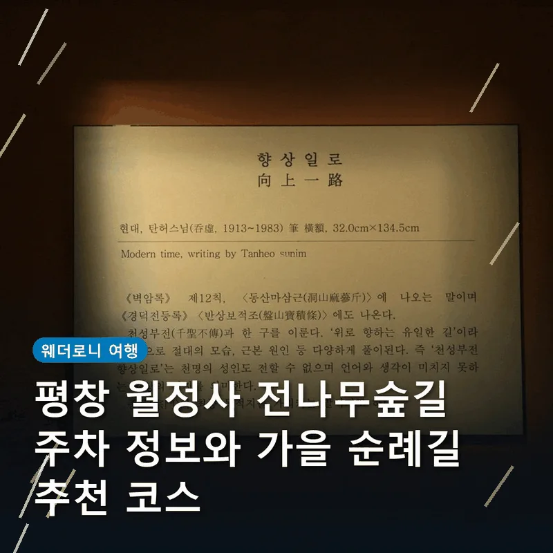 평창 월정사 전나무숲길 주차 정보와 가을 순례길 추천 코스