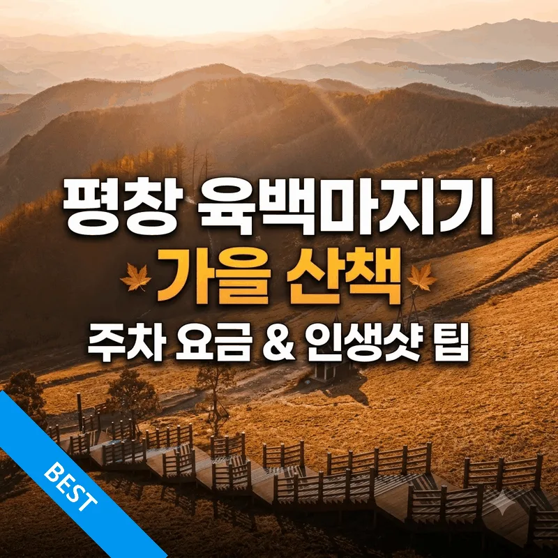 평창 육백마지기 가을 산책 주차 요금과 인생샷 팁