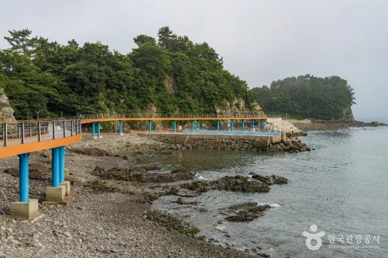남일대 코끼리 바위