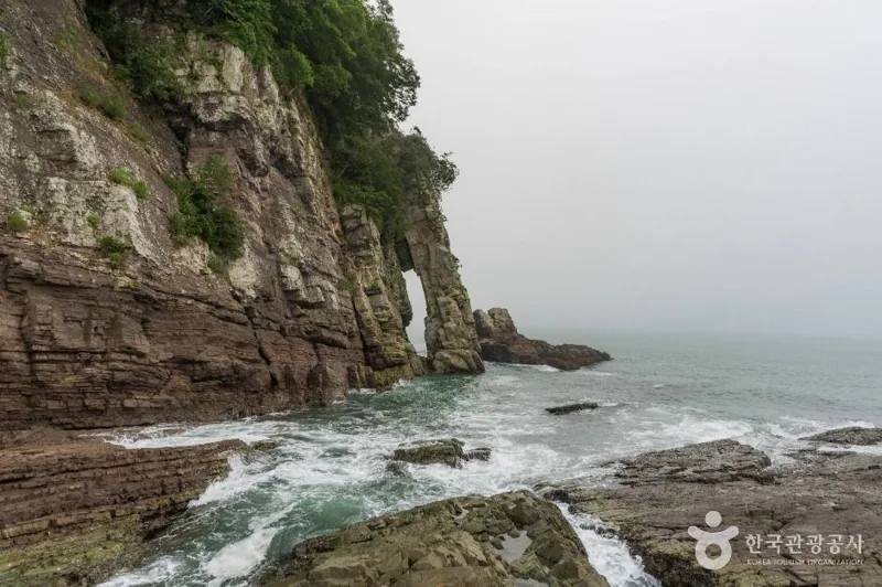 남일대 코끼리 바위