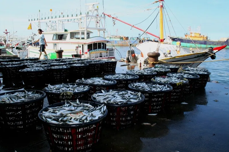Herring landing fishing port, Penghu