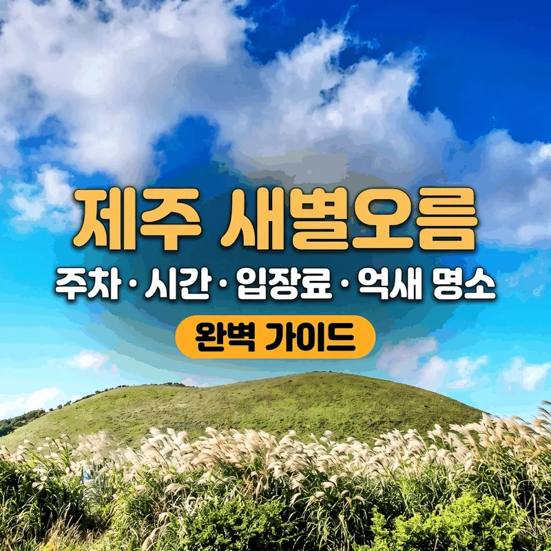 제주 새별오름 주차 시간 입장료 억새 명소 완벽 가이드