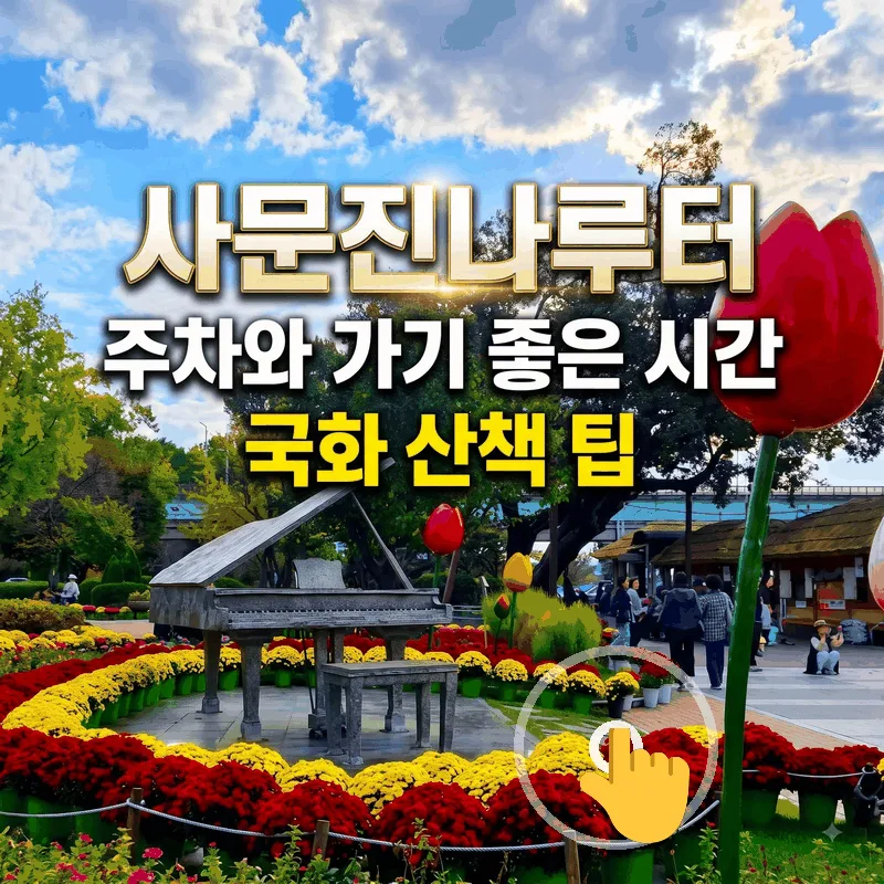 사문진나루터 주차와 가기 좋은 시간 국화 산책 팁