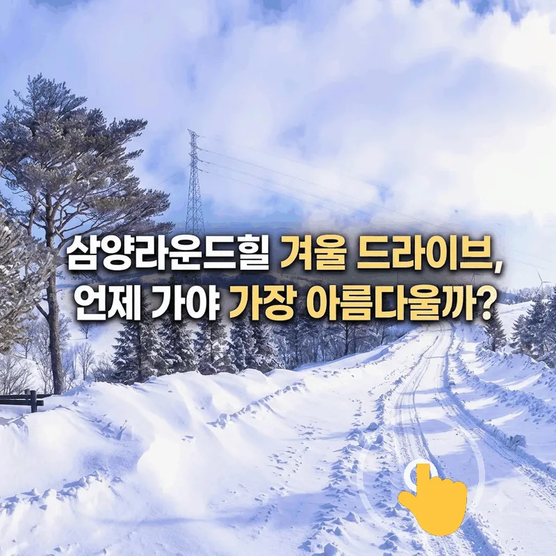삼양라운드힐 겨울 드라이브, 언제 가야 가장 아름다울까?