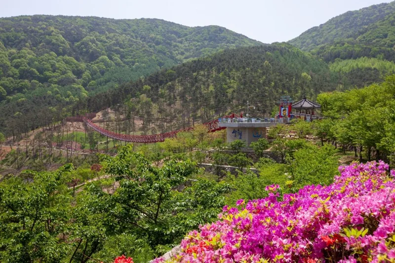 동의보감촌