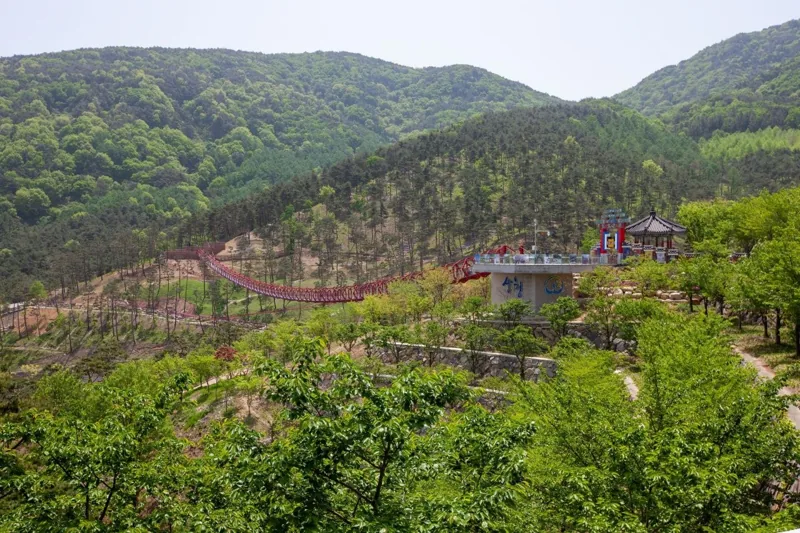 동의보감촌