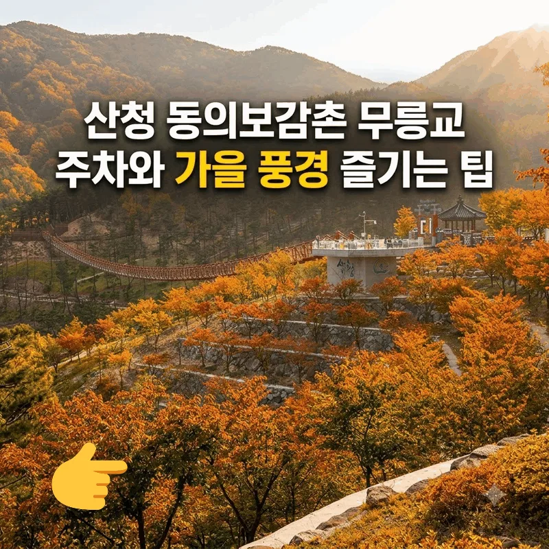 산청 동의보감촌 무릉교 주차와 가을 풍경 즐기는 팁