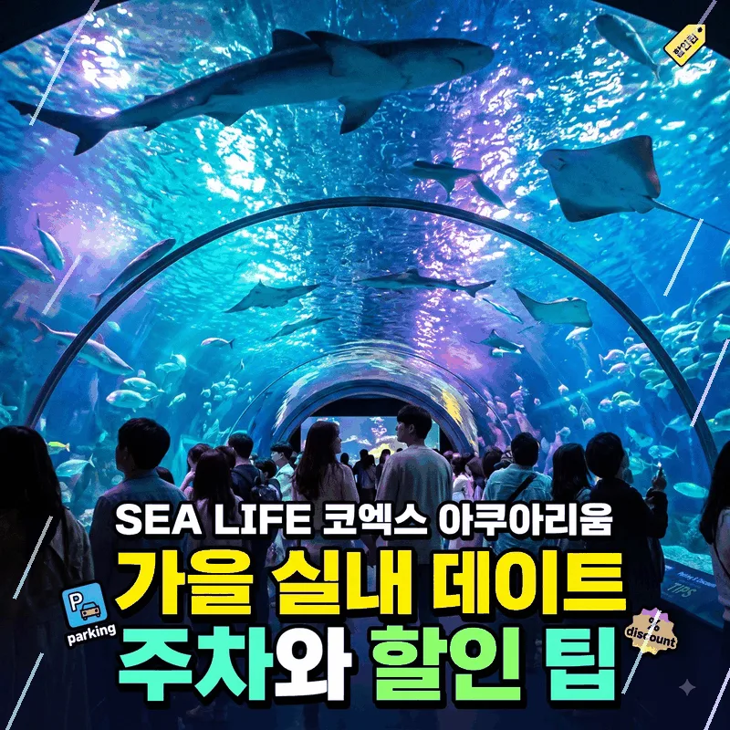 SEA LIFE 코엑스 아쿠아리움 가을 실내 데이트 주차와 할인 팁