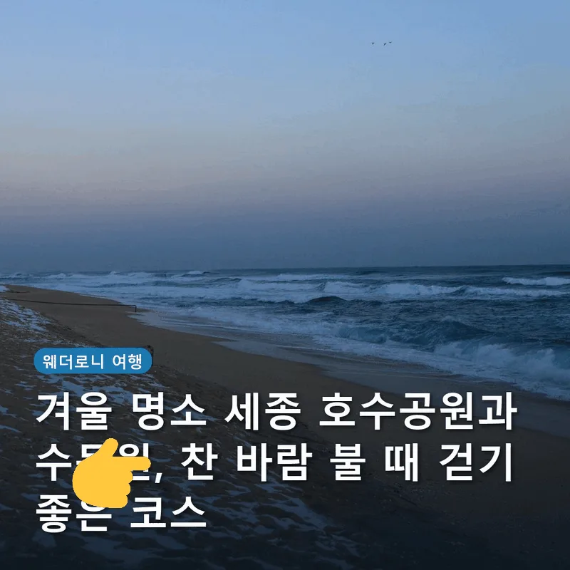 겨울 명소 세종 호수공원과 수목원, 찬 바람 불 때 걷기 좋은 코스