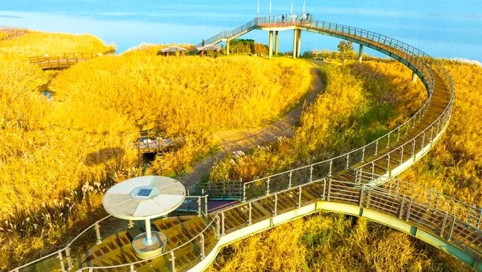 서천 신성리 갈대밭 전망대 / 사진=ⓒ한국관광공사 김지호