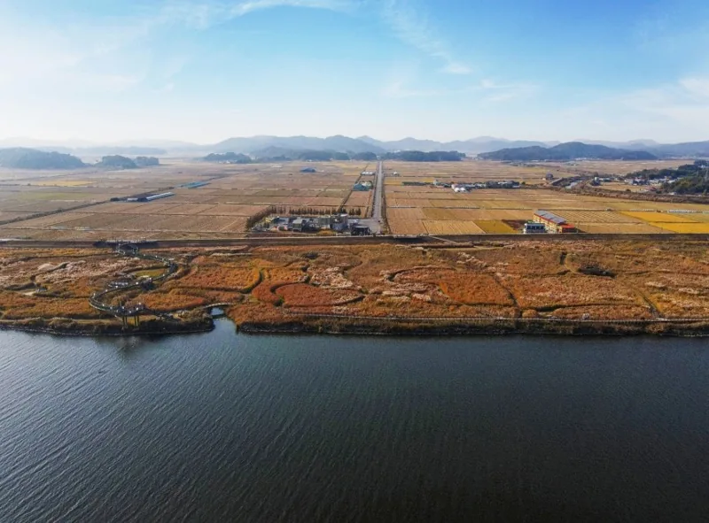 신성리 갈대밭 상세이미지7