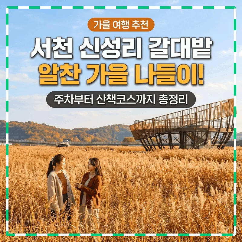 서천 신성리 갈대밭 주차부터 산책 코스까지 알차게 즐기는 가을 나들이