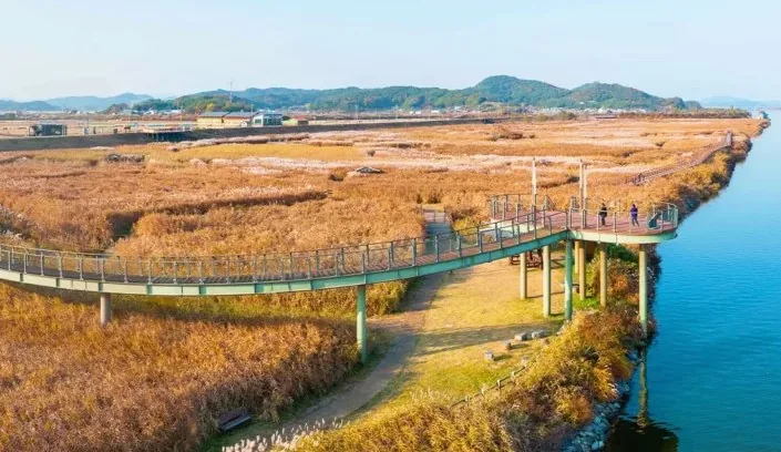 신성리갈대밭 풍경 / 사진=ⓒ한국관광공사 김지호