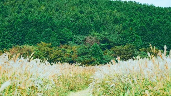 큰사슴이오름 / 사진=ⓒ한국관광공사 이정수