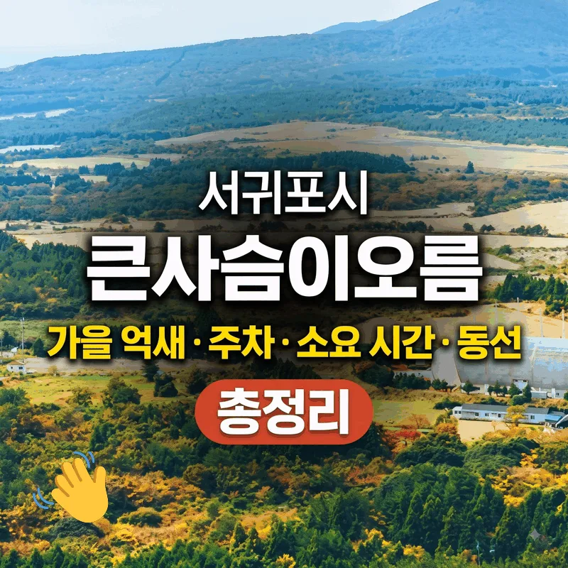 서귀포시 큰사슴이오름 가을 억새 주차 소요 시간 동선 총정리