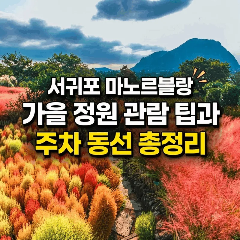 서귀포 마노르블랑 가을 정원 관람 팁과 주차 동선 총정리