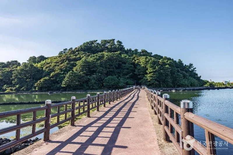 오조포구