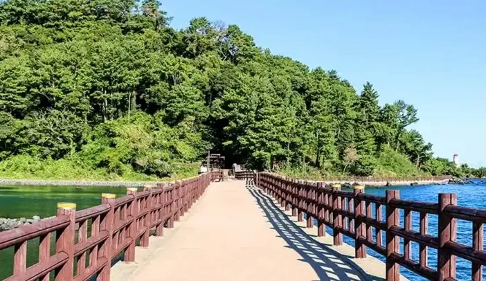 오조포구 산책 / 사진=비짓제주