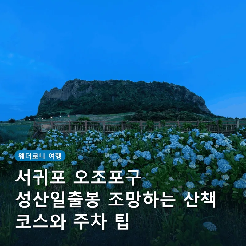 서귀포 오조포구 성산일출봉 조망하는 산책 코스와 주차 팁