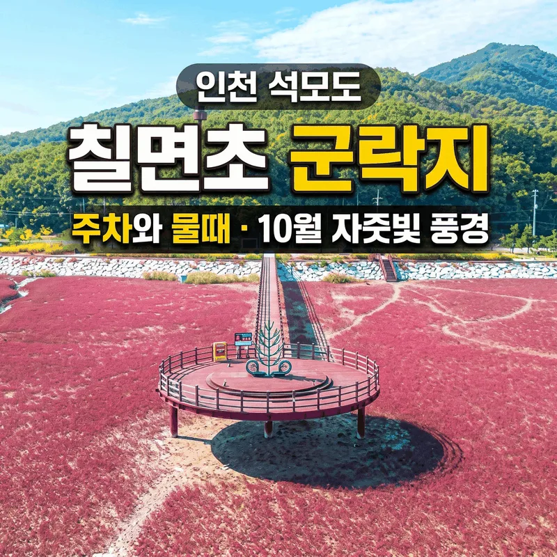 인천 석모도 칠면초 군락지 주차와 물때 10월 자줏빛 풍경