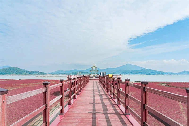 석모도 칠면초 군락지