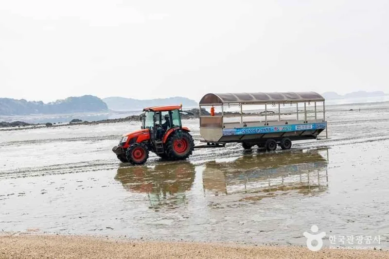 선재도(선재도 어촌체험마을)