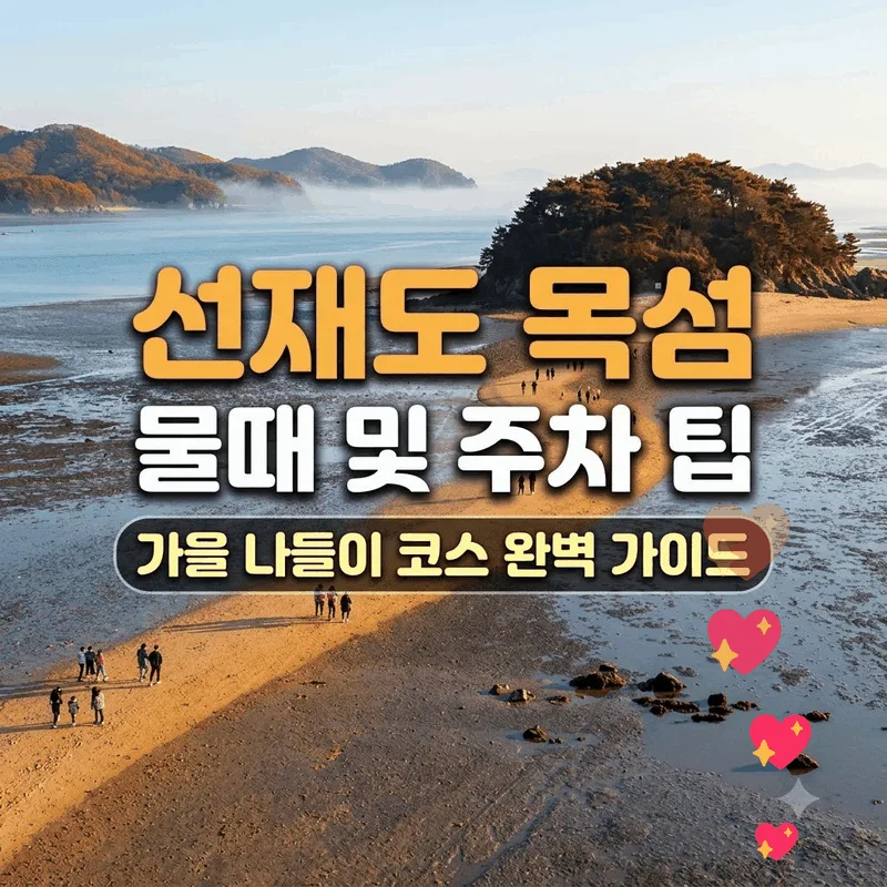 선재도 목섬 물때 시간과 주차 팁, 가을 나들이 코스 완벽 가이드