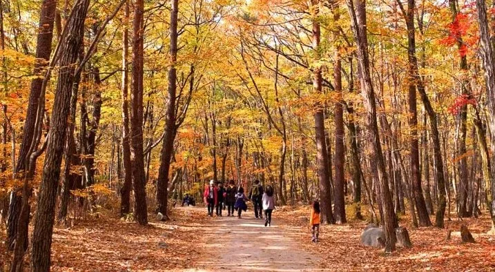 설악산 국립공원 등산로 / 사진=게티이미지뱅크