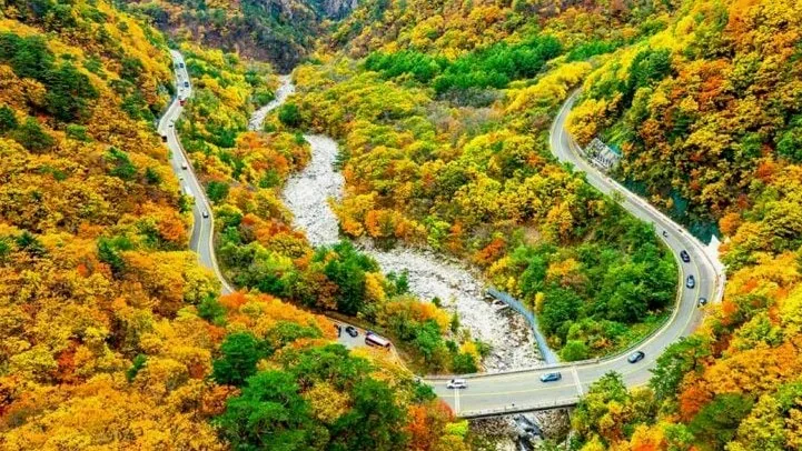 설악산 흘림골 / 사진=게티이미지뱅크